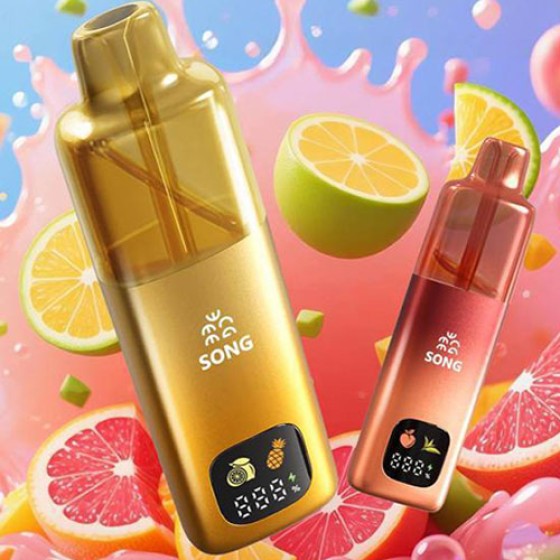 【一次性】正品SONG崧A66双响炮16000口